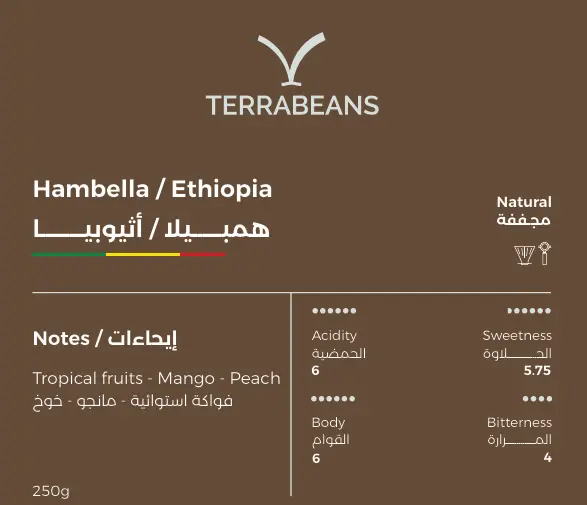 همبيلا / إثيوبيا - ٢٥٠ جرام