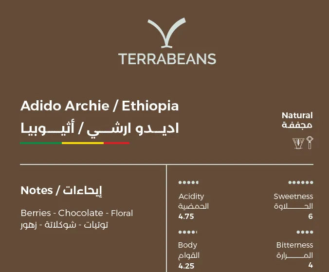 Adido Archie / Ethiopia - 250g