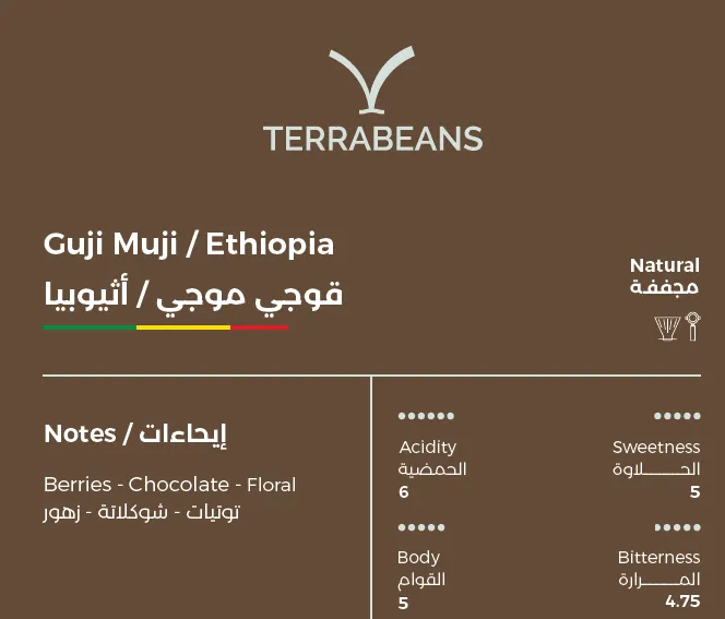Guji Muji / Ethiopia - 1kg