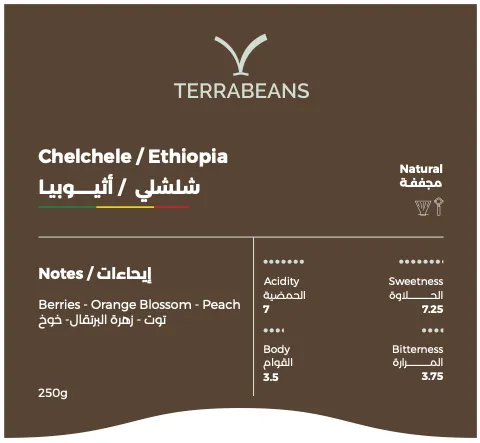 شلشلي / إثيوبيا - ٢٥٠ جرام
