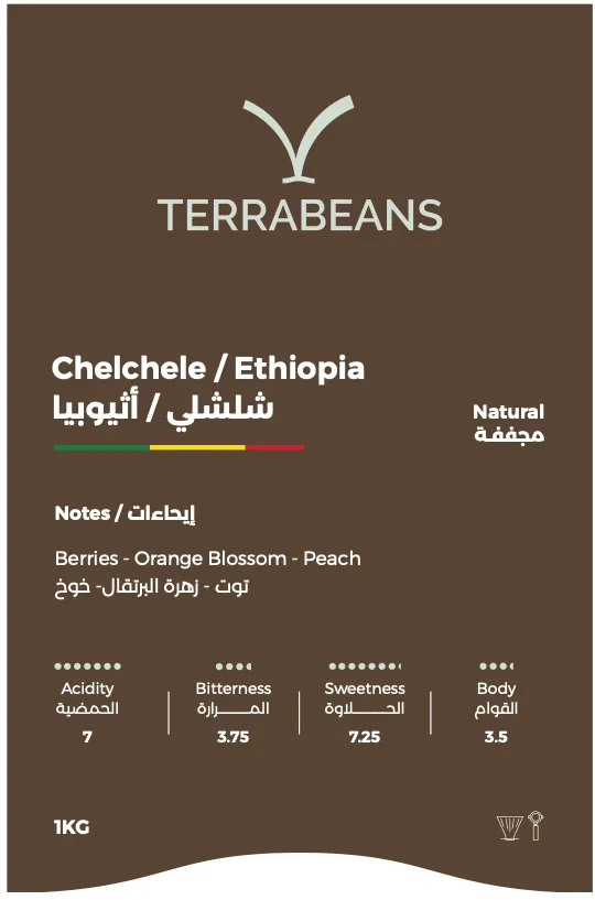 Chelchele / Ethiopia - 1kg